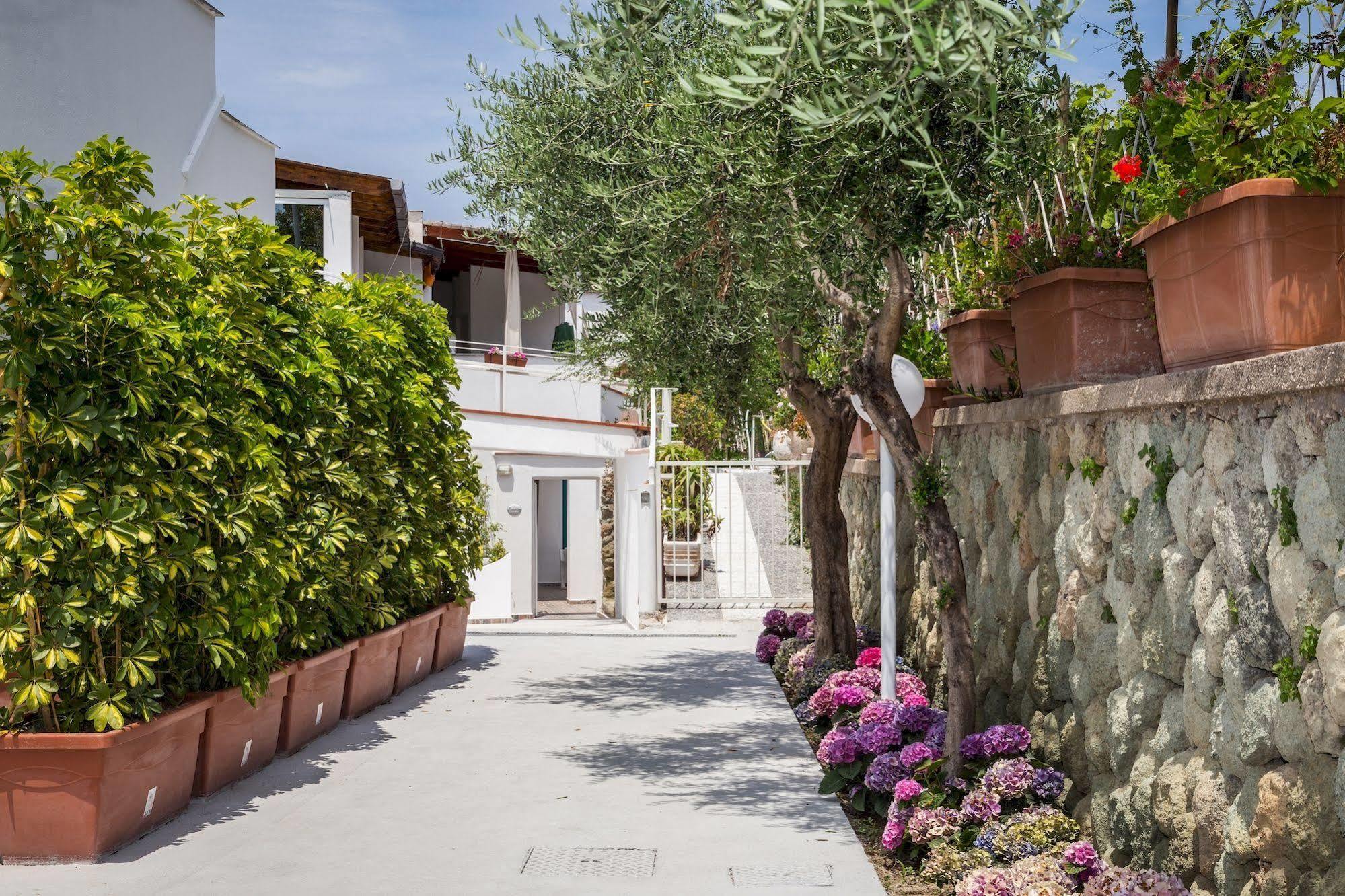 Bed and Breakfast Relais Romildanna Forio di Ischia Esterno foto